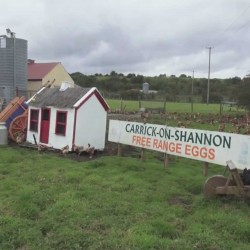 Gannons Poultry